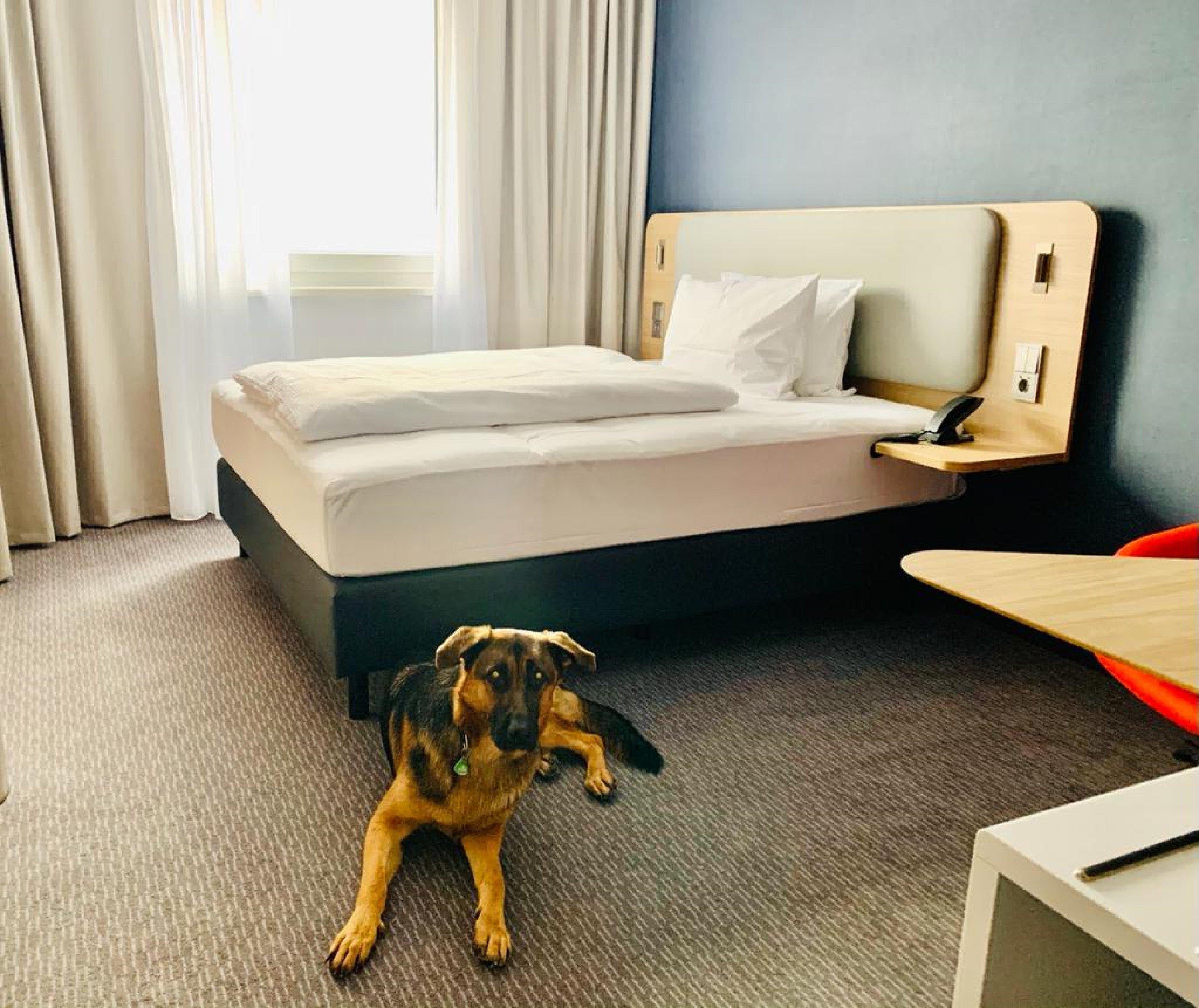Holiday Inn Express Munich - Olching By Ihg Экстерьер фото